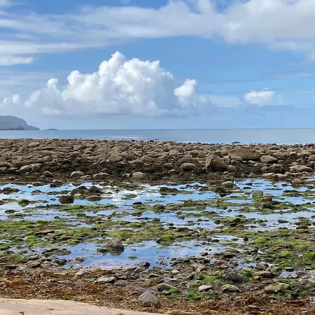 Oda ve Kahvaltı Ivy