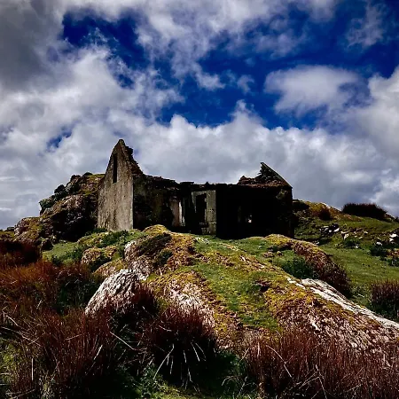 Ivy Oda ve Kahvaltı Killarney