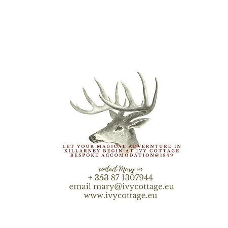 Ivy Bed & Breakfast