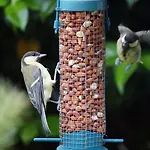 Bed & Breakfast Ivy Cill Airne