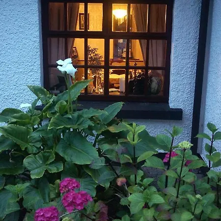 Ivy Bed and breakfast
